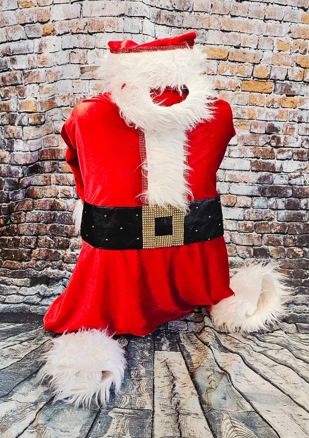 Santa pet body suit, Santa Claus dog costume, Santa Claus cat costume
