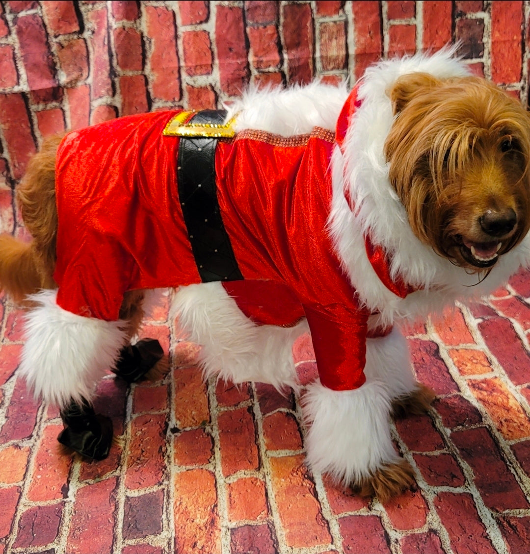 Santa pet body suit, Santa Claus dog costume, Santa Claus cat costume