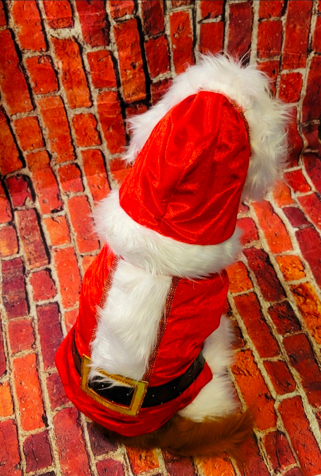 Santa pet body suit, Santa Claus dog costume, Santa Claus cat costume