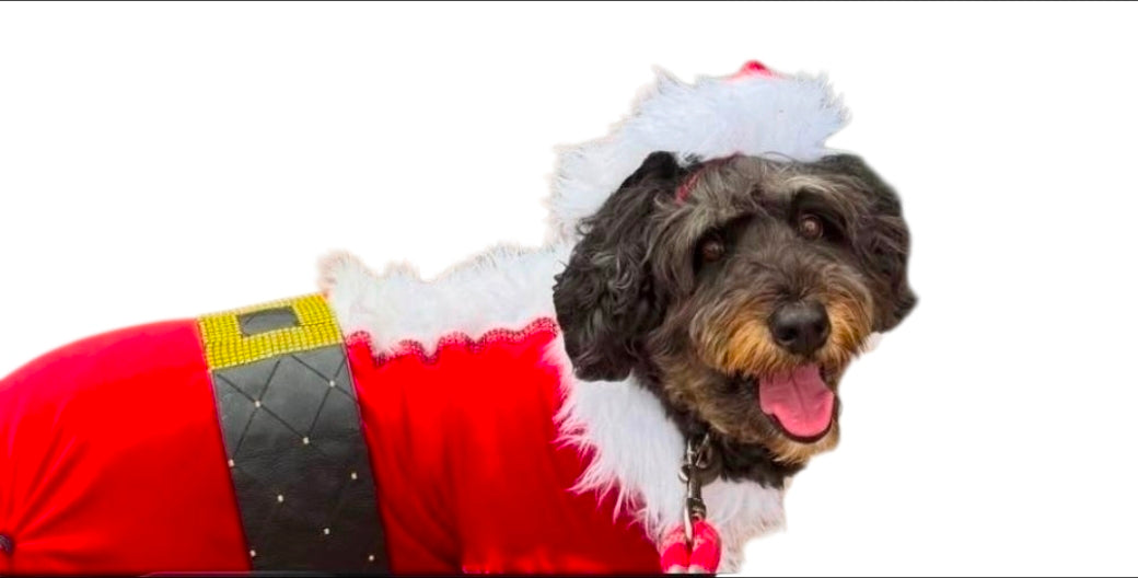 Santa pet body suit, Santa Claus dog costume, Santa Claus cat costume