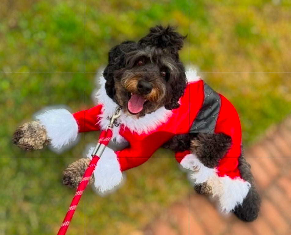 Santa pet body suit, Santa Claus dog costume, Santa Claus cat costume