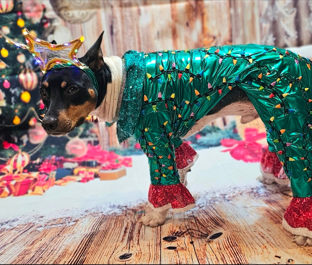 Christmas Tree pet costume, Light up tree pet costume, tree dog costume, tree cat costume