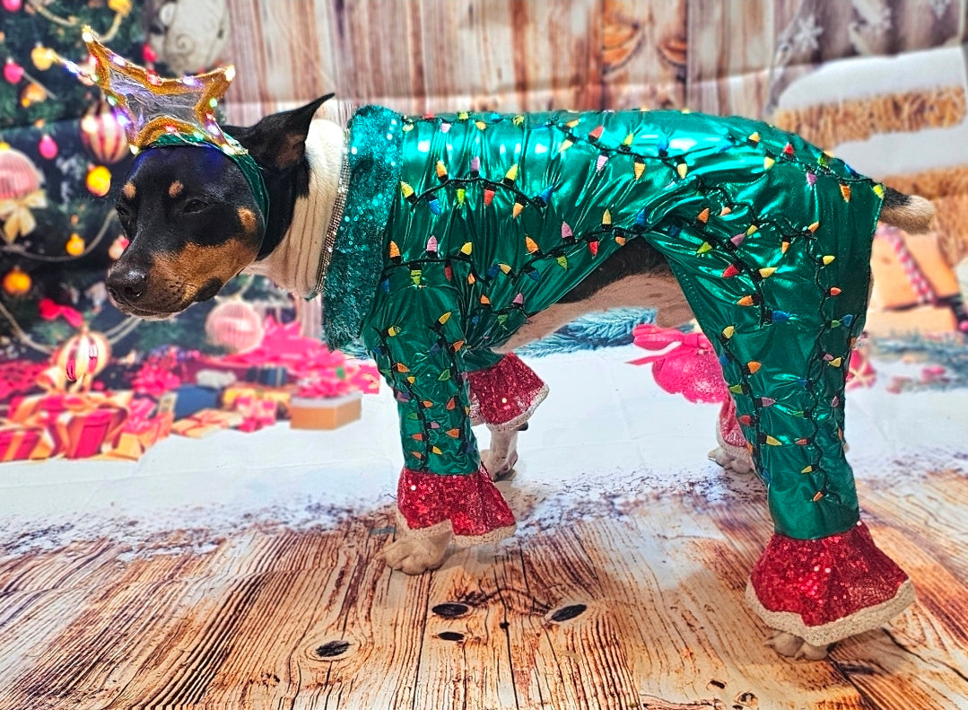 Christmas Tree pet costume, Light up tree pet costume, tree dog costume, tree cat costume