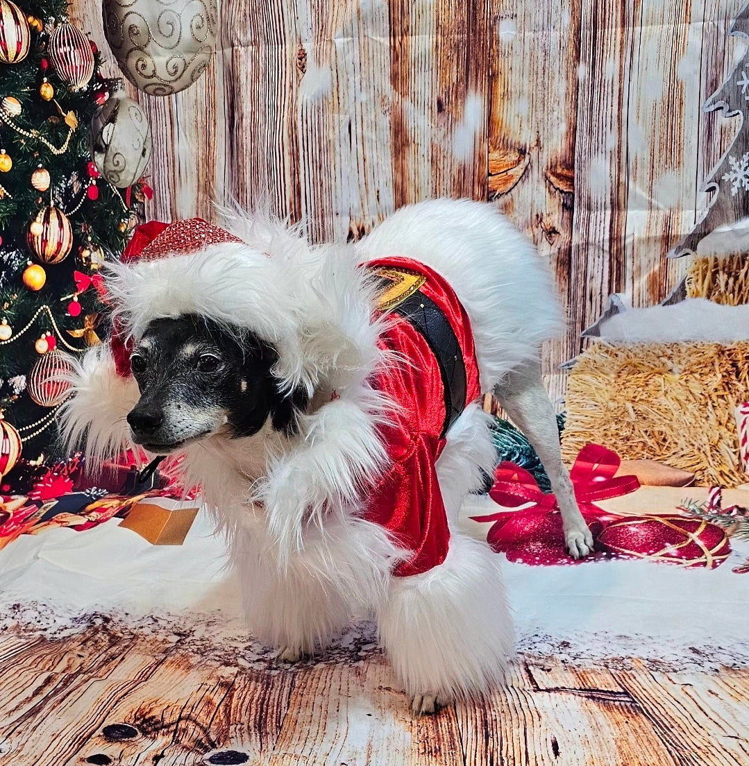 Santa Pet Costume, Santa pet shirt costume, Santa dog costume