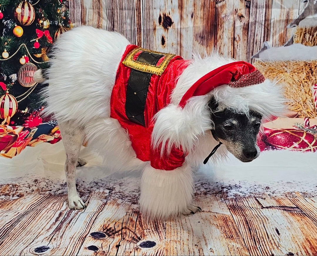 Santa Pet Costume, Santa pet shirt costume, Santa dog costume