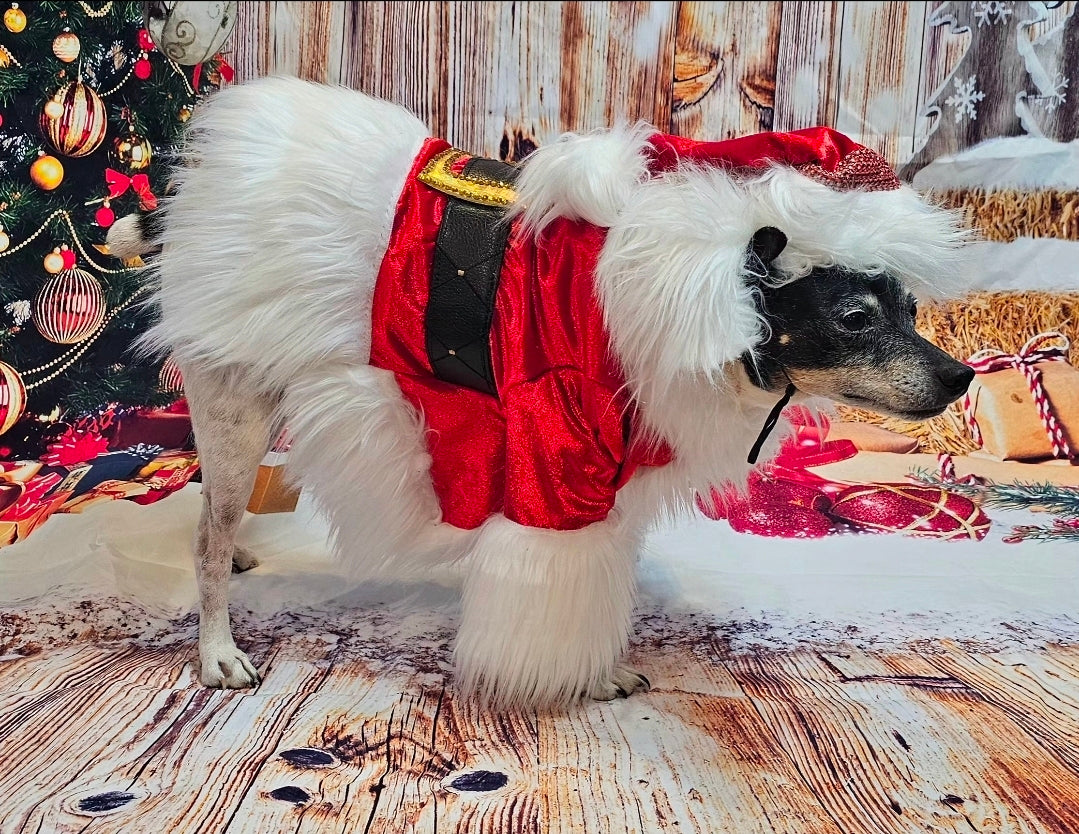 Santa Pet Costume, Santa pet shirt costume, Santa dog costume