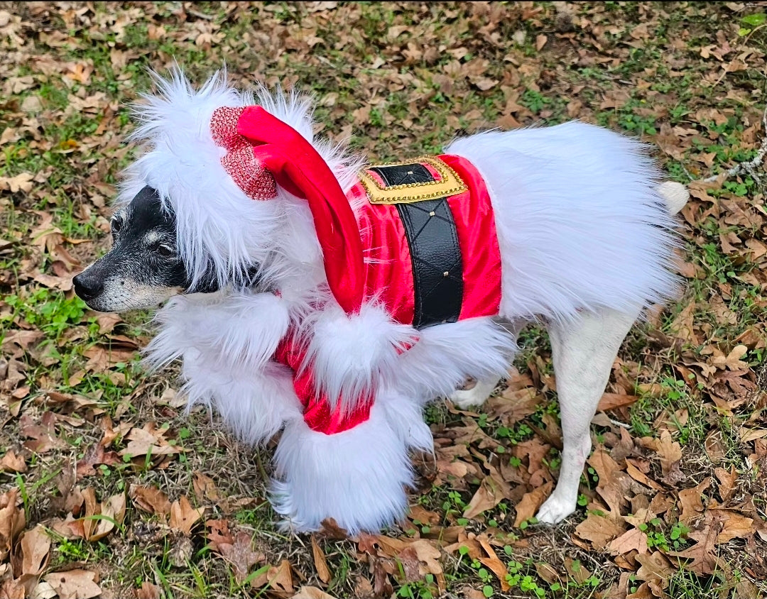 Santa Pet Costume, Santa pet shirt costume, Santa dog costume