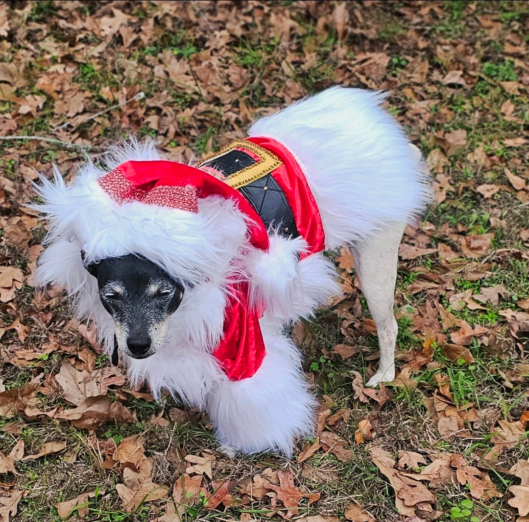 Santa Pet Costume, Santa pet shirt costume, Santa dog costume