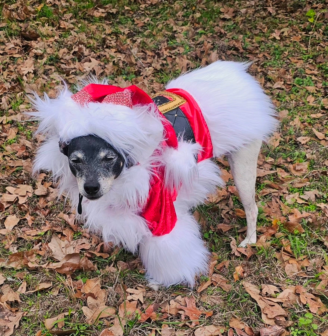 Santa Pet Costume, Santa pet shirt costume, Santa dog costume