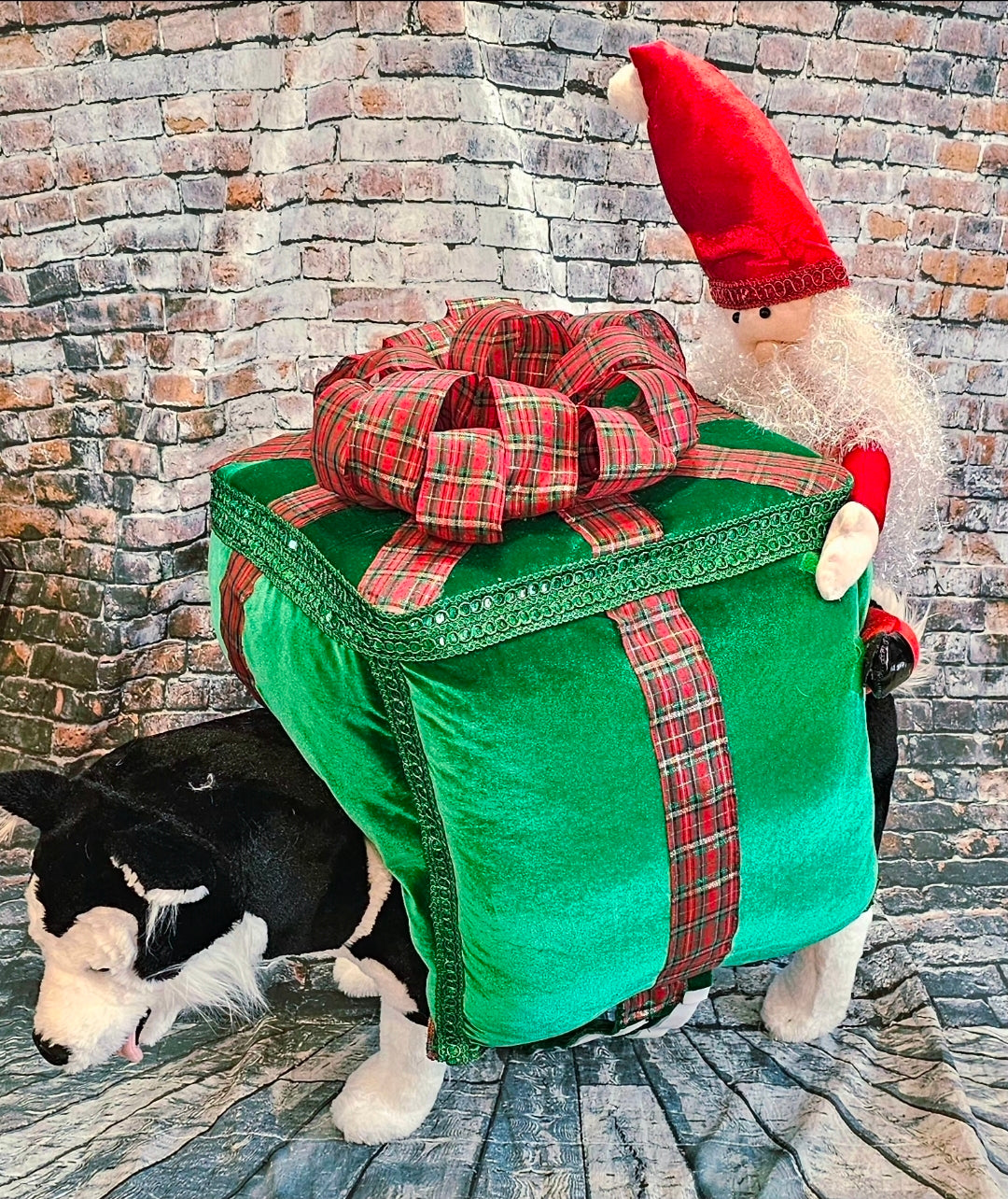 Present pet costume, Santa present pet costume