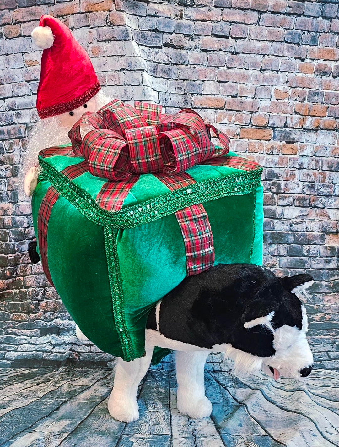 Present pet costume, Santa present pet costume