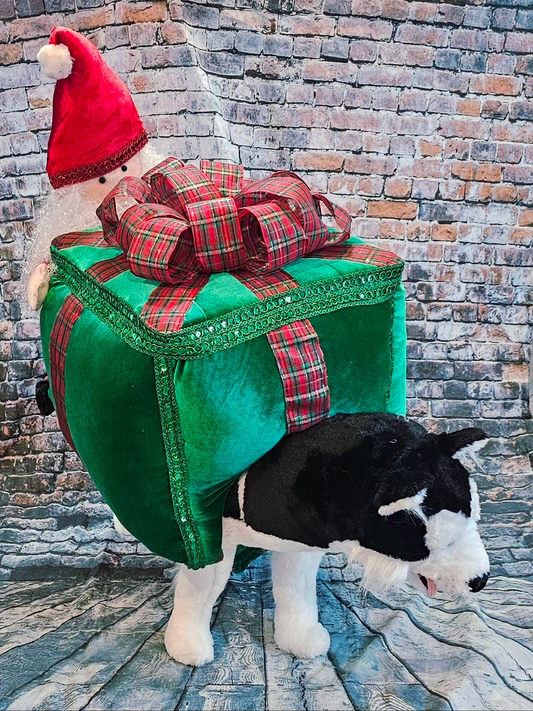Present pet costume, Santa present pet costume