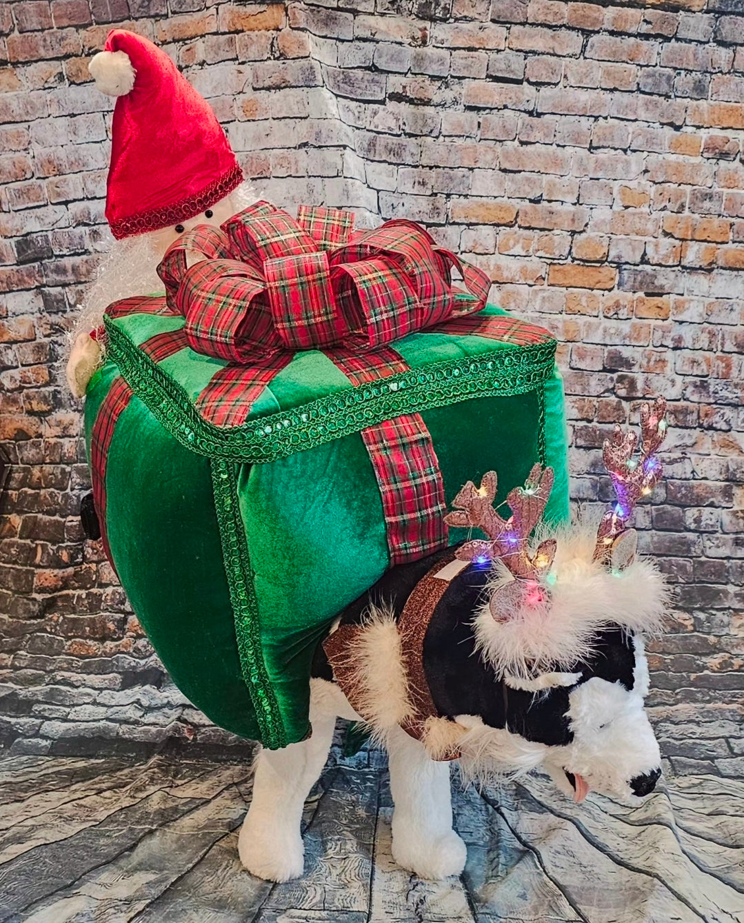 Present pet costume, Santa present pet costume
