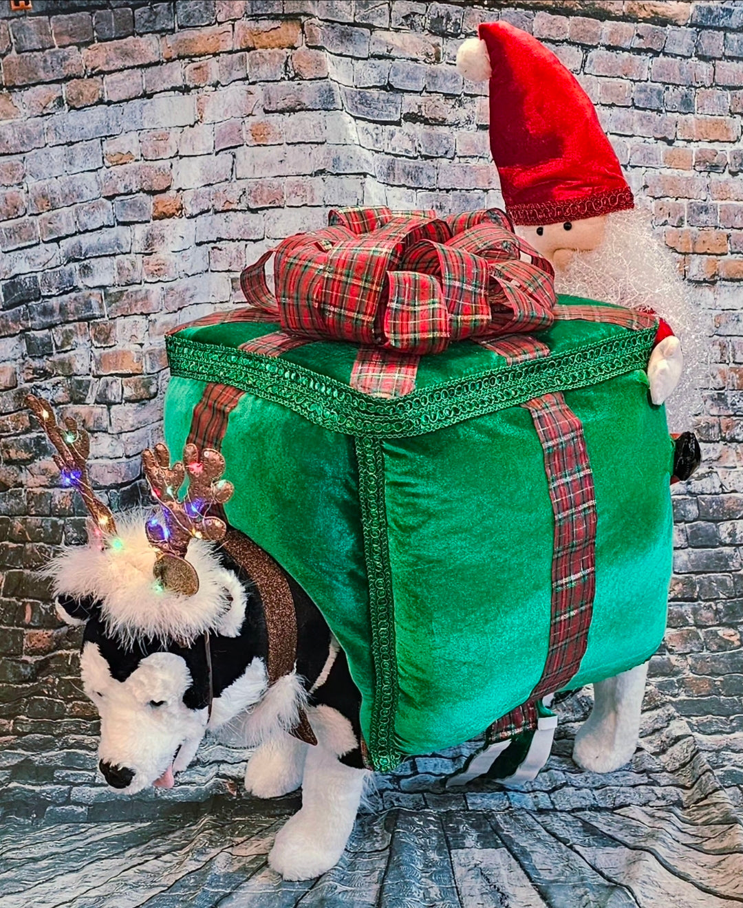 Present pet costume, Santa present pet costume