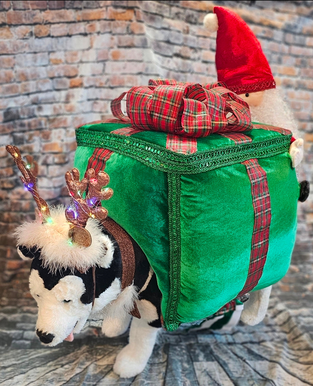 Present pet costume, Santa present pet costume
