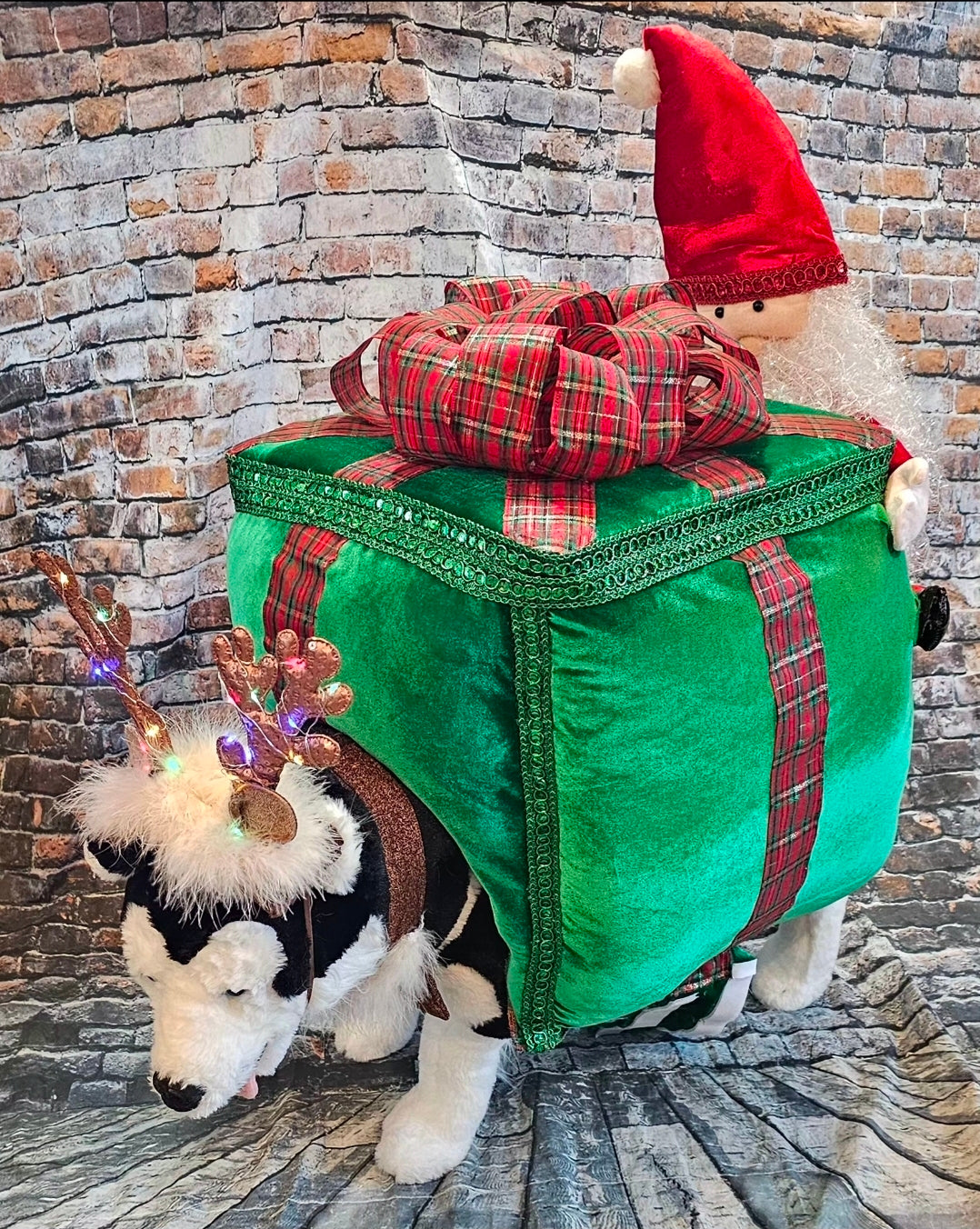 Present pet costume, Santa present pet costume