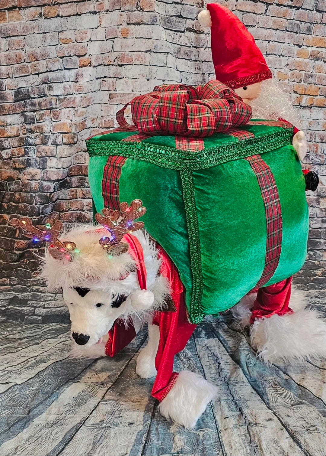 Present pet costume, Santa present pet costume