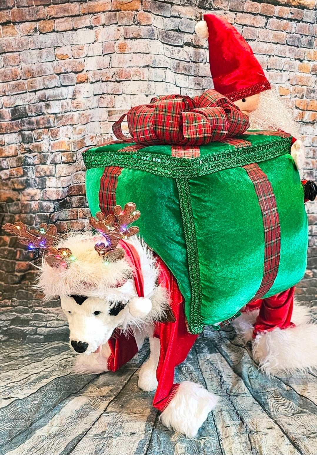 Present pet costume, Santa present pet costume