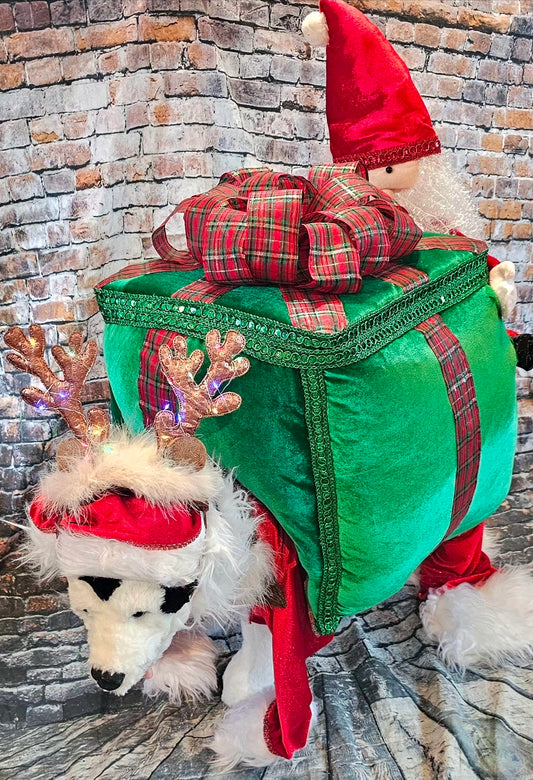 Present pet costume, Santa present pet costume