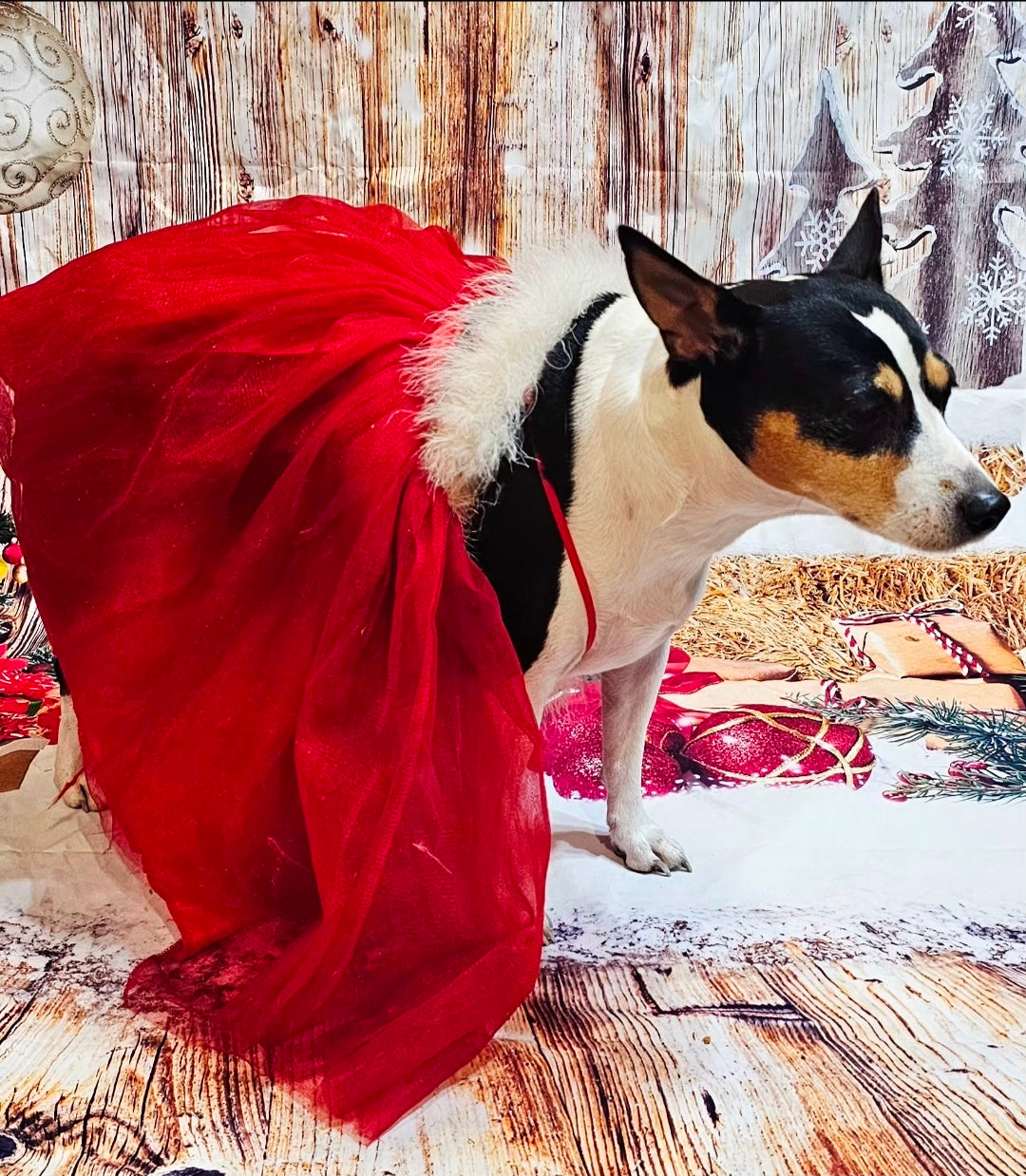 Tulle Santa Pet Dress, Tulle Miss Claus Pet Dress
