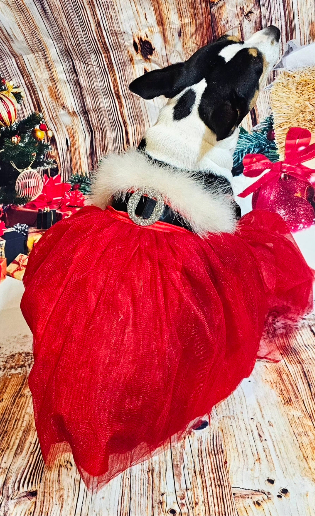 Tulle Santa Pet Dress, Tulle Miss Claus Pet Dress