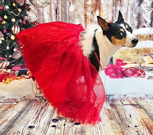 Tulle Santa Pet Dress, Tulle Miss Claus Pet Dress