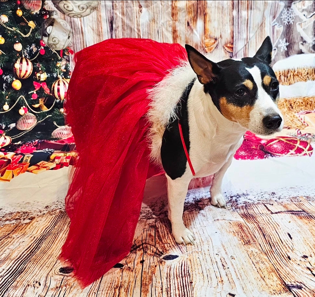 Tulle Santa Pet Dress, Tulle Miss Claus Pet Dress