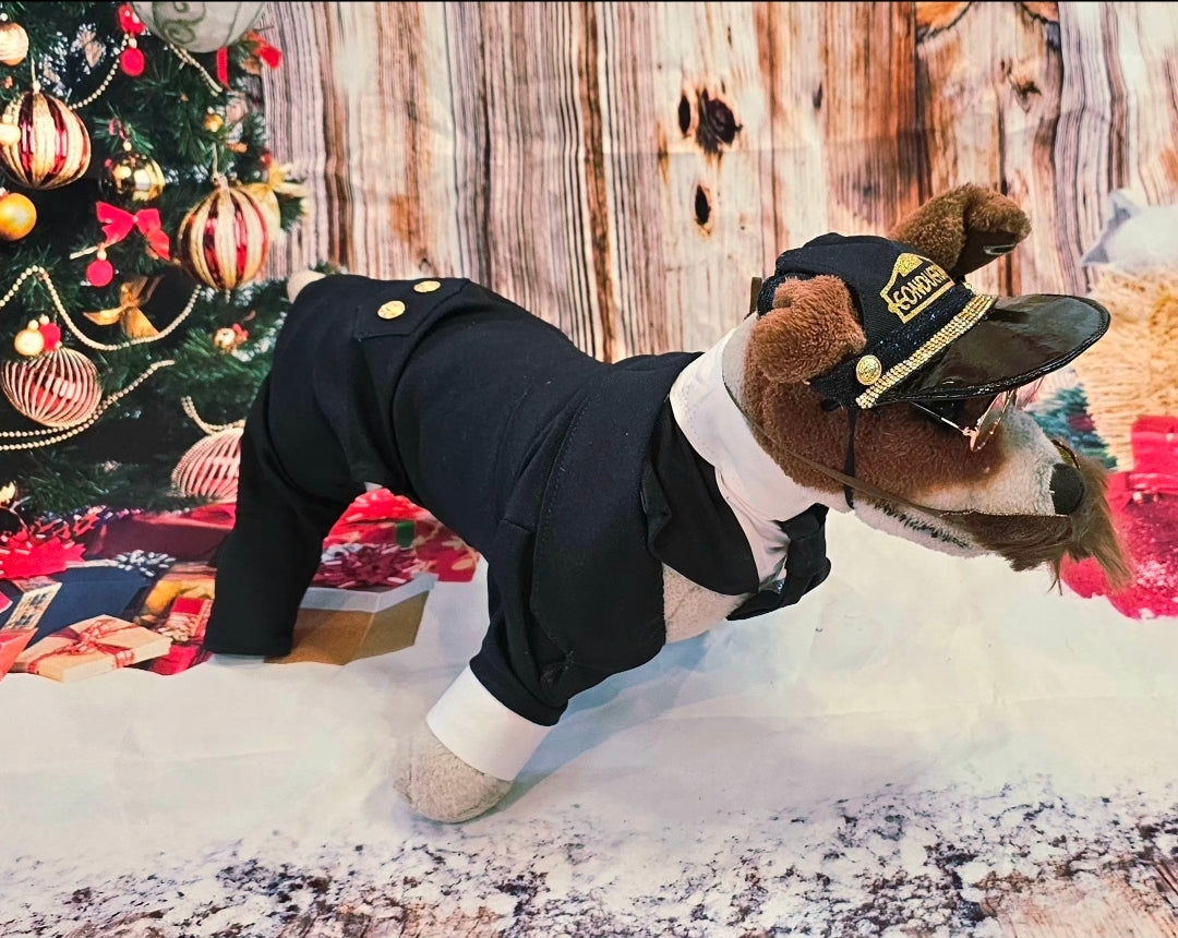 Polar Express Train Conductor Pet Costume, Polar Express pet costume