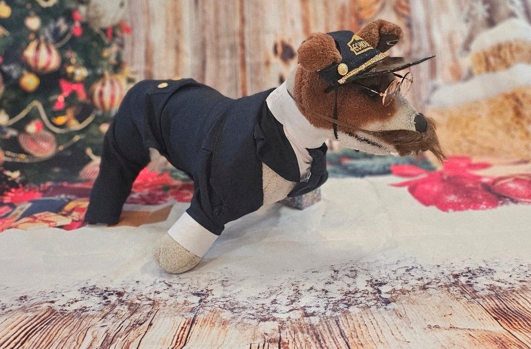 Polar Express Train Conductor Pet Costume, Polar Express pet costume