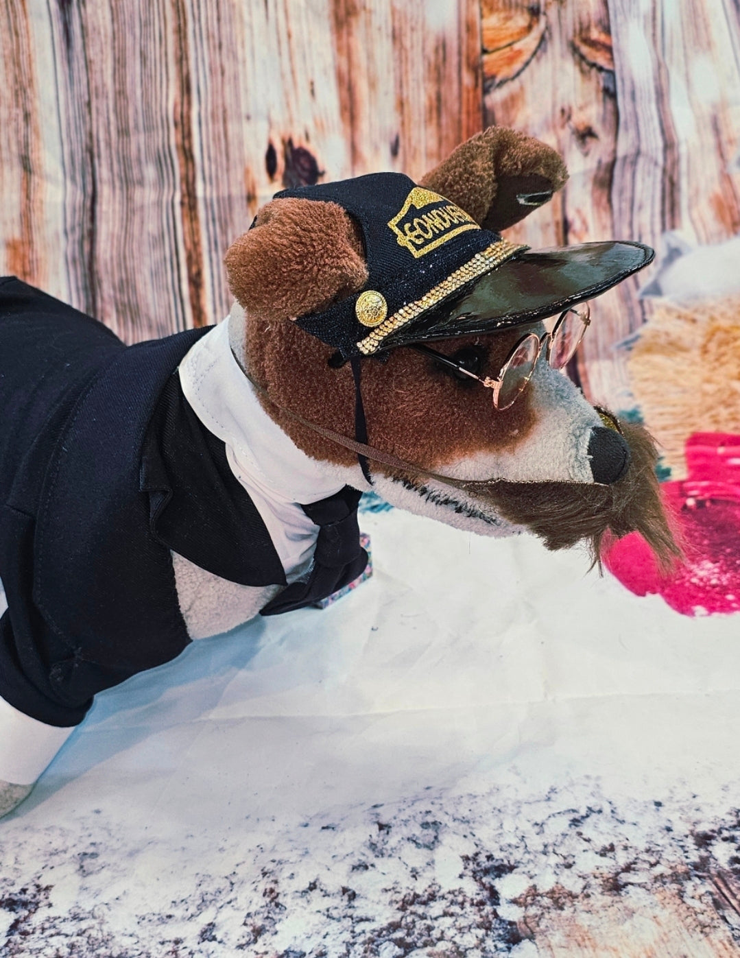 Polar Express Train Conductor Pet Costume, Polar Express pet costume