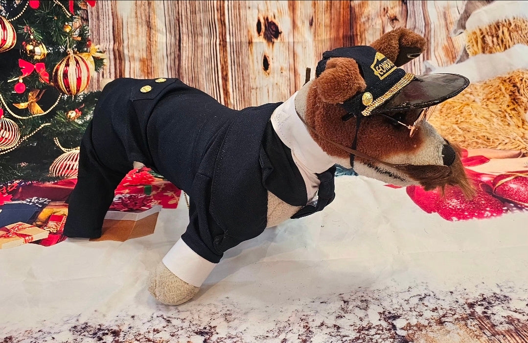 Polar Express Train Conductor Pet Costume, Polar Express pet costume