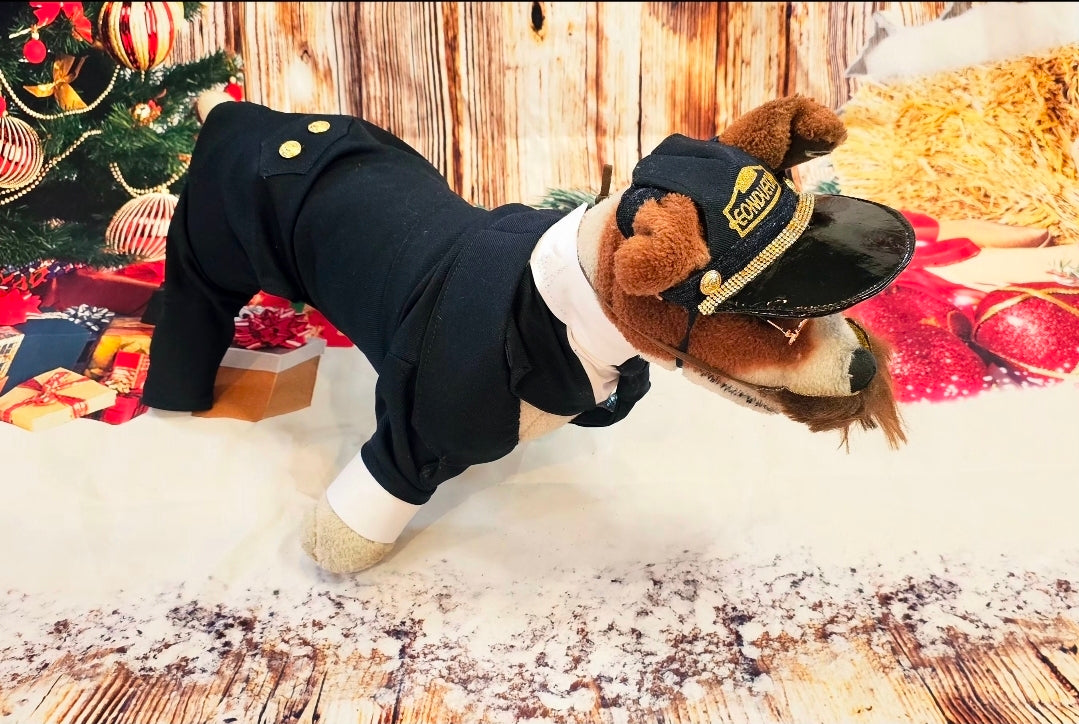 Polar Express Train Conductor Pet Costume, Polar Express pet costume