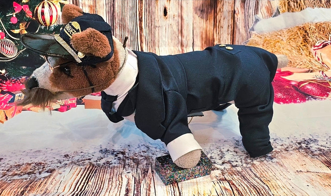Polar Express Train Conductor Pet Costume, Polar Express pet costume