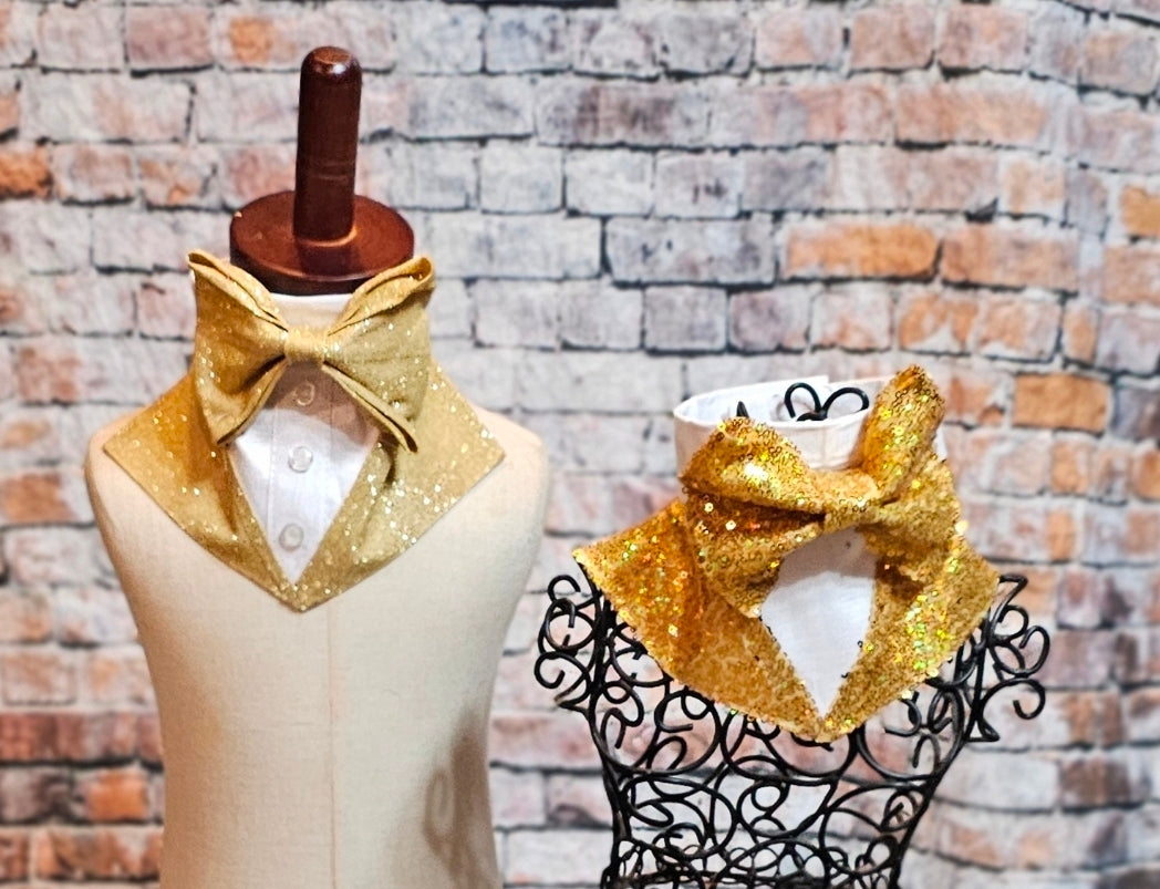 New Years Eve Pet hat, NYE pet hat, Holiday pet hat