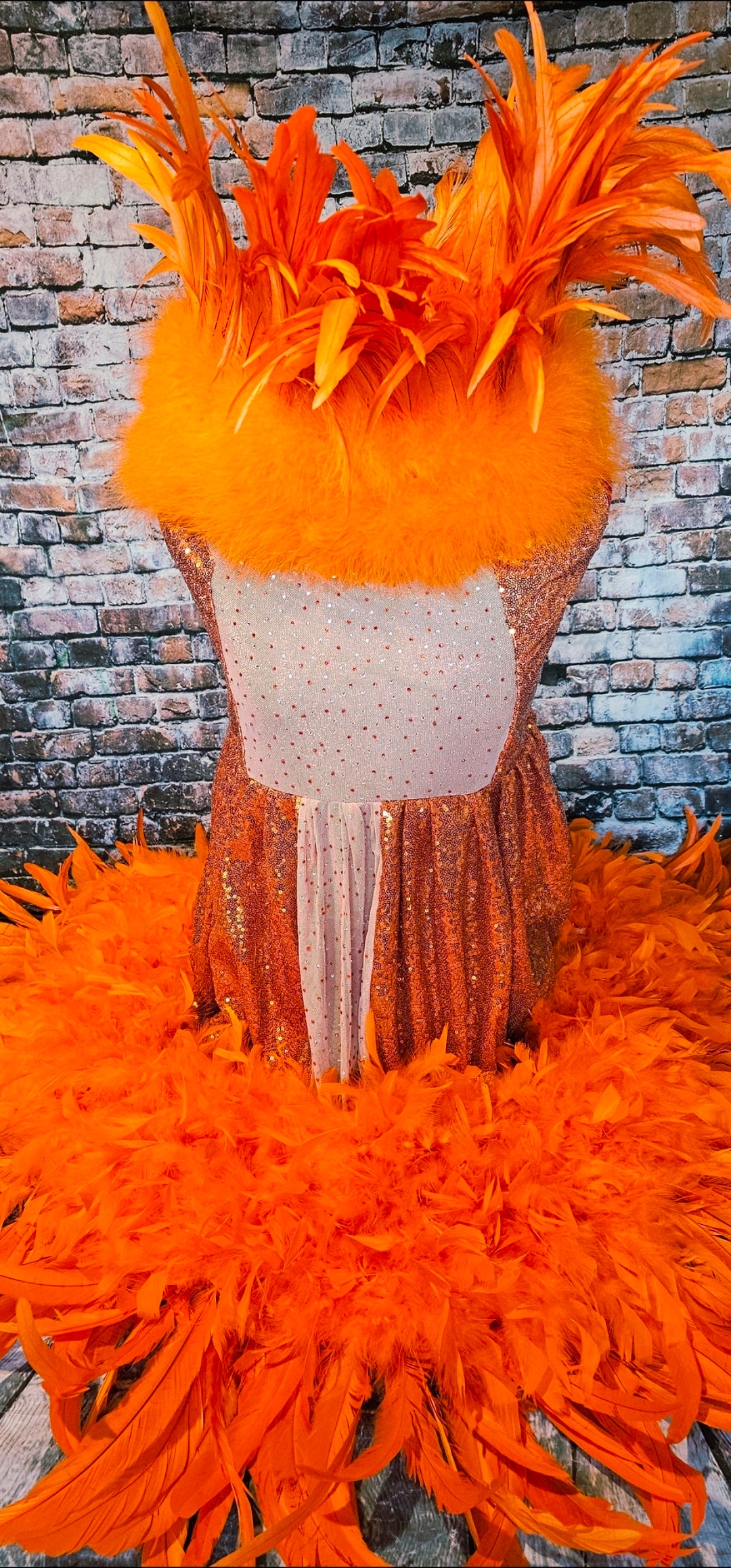 Feather sequin special occasion pet dress, Orange feather pet dress, Kendall Jenner Met gala pet costume