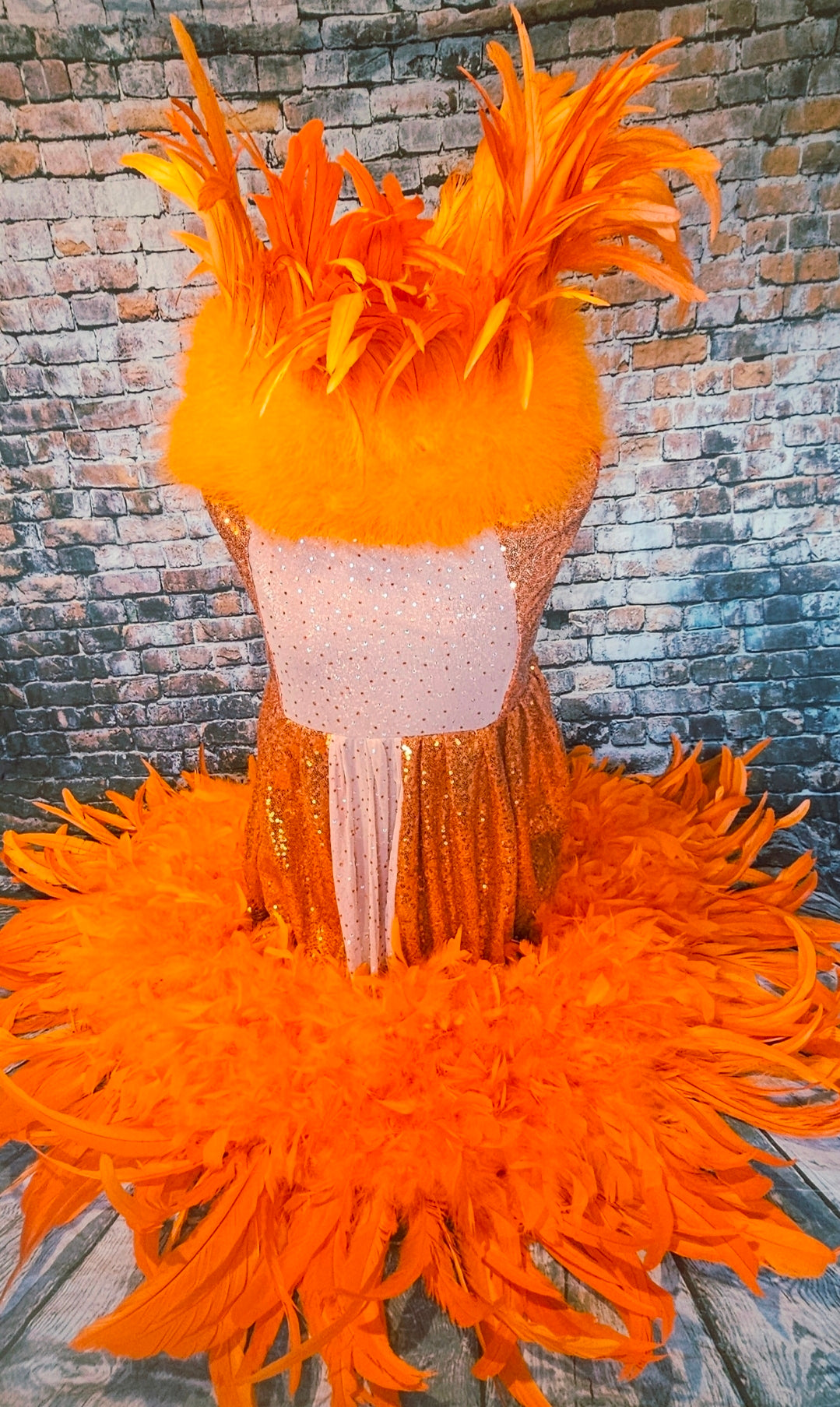 Feather sequin special occasion pet dress, Orange feather pet dress, Kendall Jenner Met gala pet costume