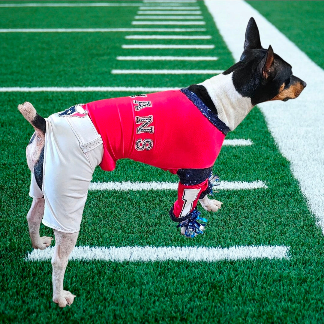 Houston Texans pet cheerleader costume, Texans dog cheerleader, Texans cat cheerleader