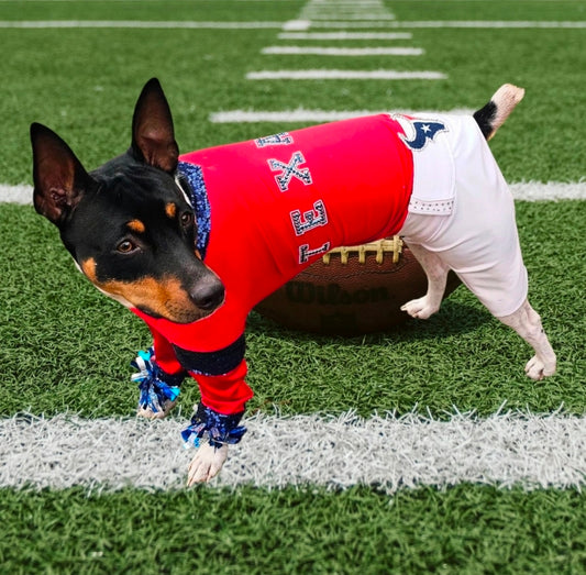 Houston Texans pet cheerleader costume, Texans dog cheerleader, Texans cat cheerleader