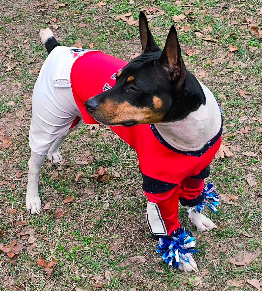 Houston Texans pet cheerleader costume, Texans dog cheerleader, Texans cat cheerleader
