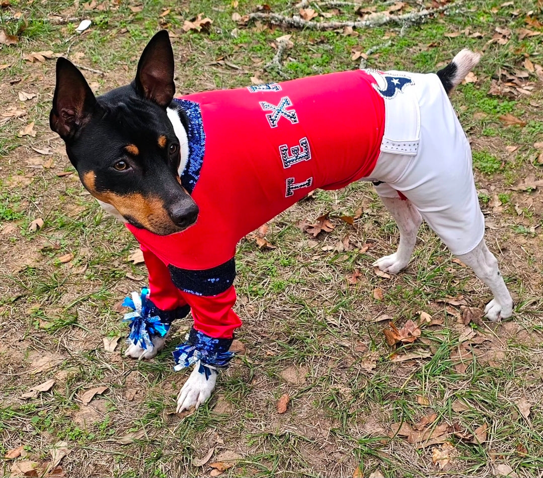 Houston Texans pet cheerleader costume, Texans dog cheerleader, Texans cat cheerleader