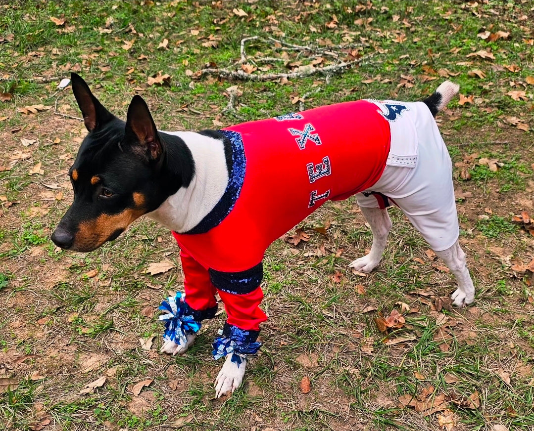 Houston Texans pet cheerleader costume, Texans dog cheerleader, Texans cat cheerleader