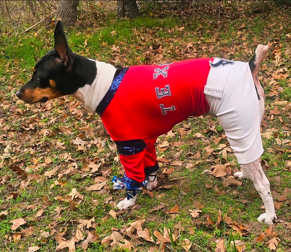 Houston Texans pet cheerleader costume, Texans dog cheerleader, Texans cat cheerleader