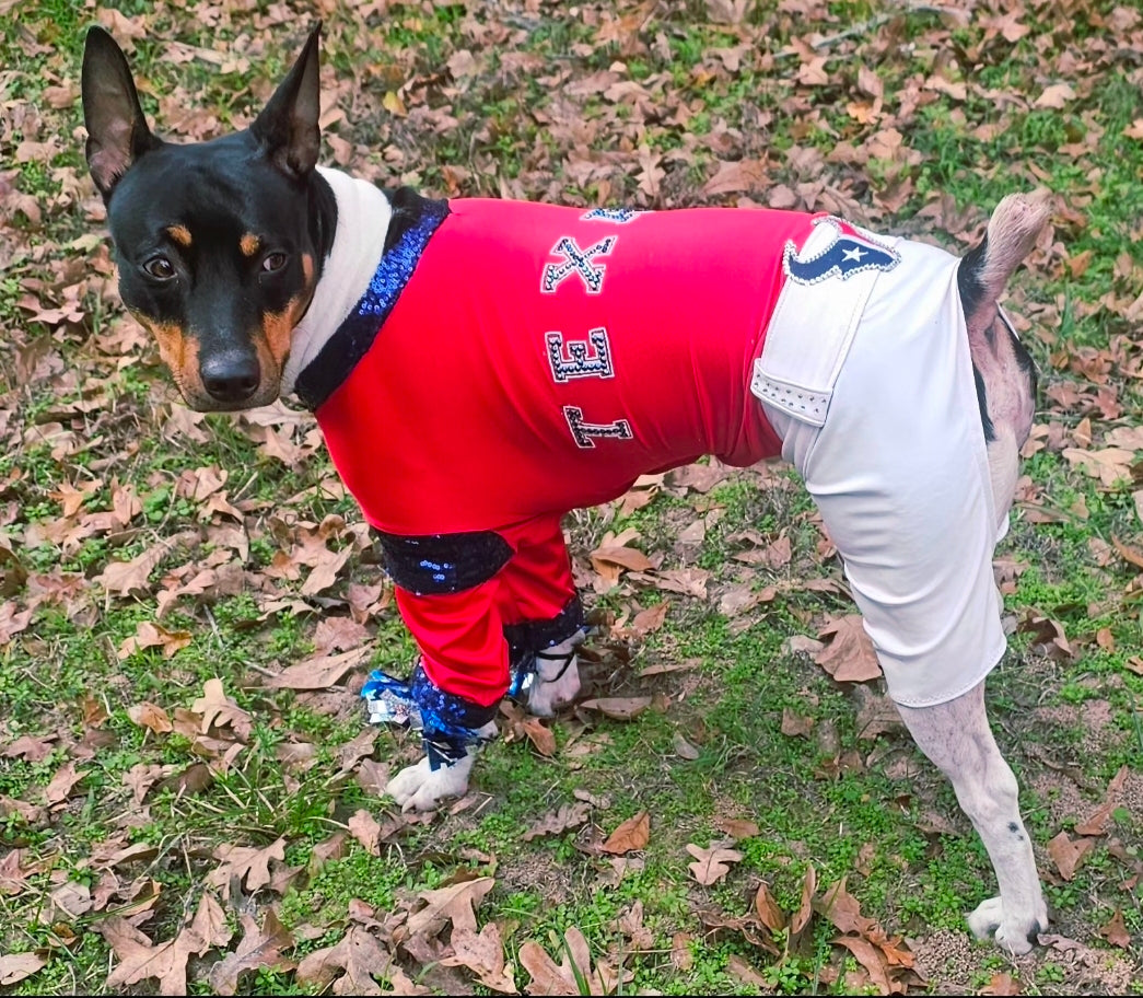 Houston Texans pet cheerleader costume, Texans dog cheerleader, Texans cat cheerleader