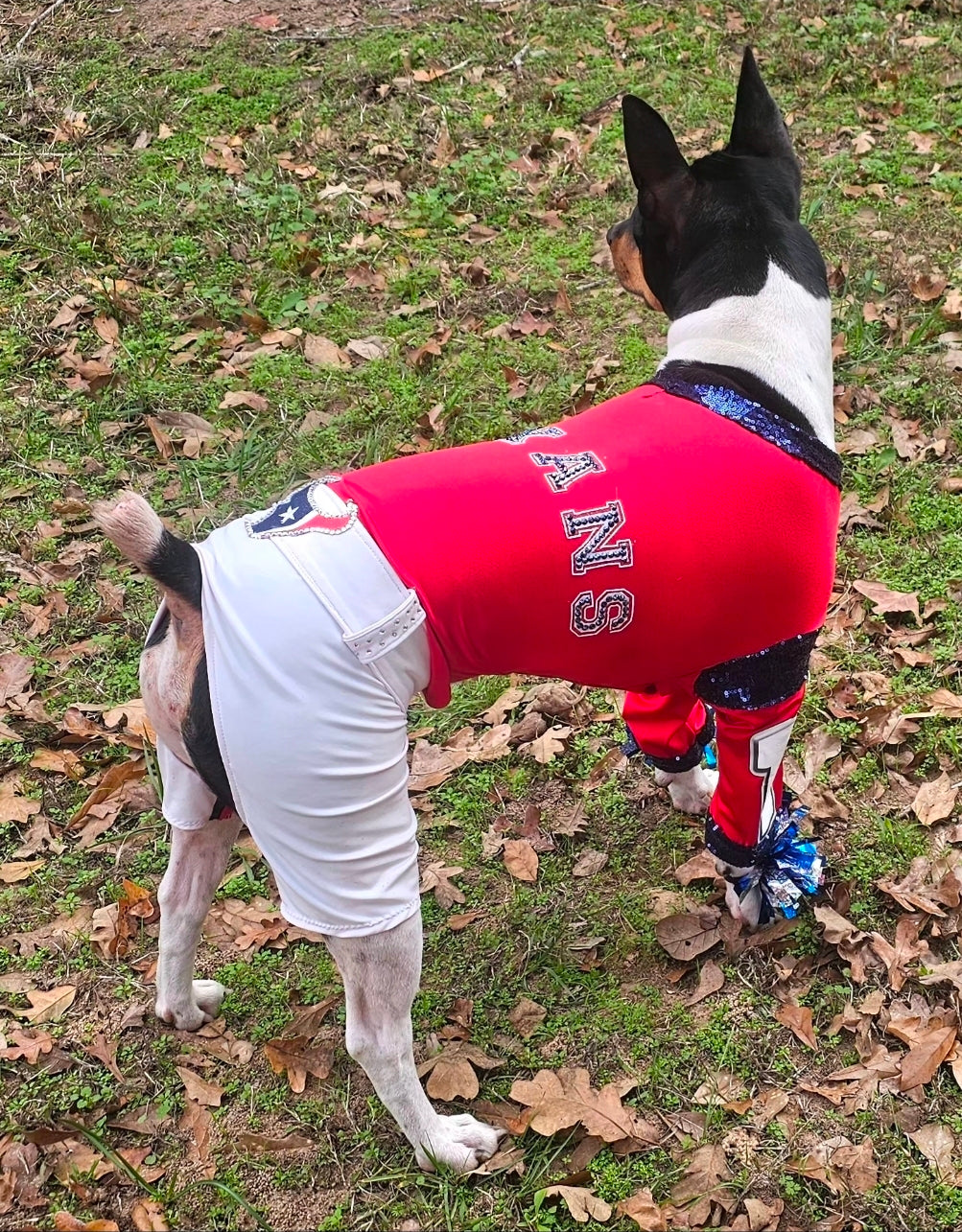Houston Texans pet cheerleader costume, Texans dog cheerleader, Texans cat cheerleader