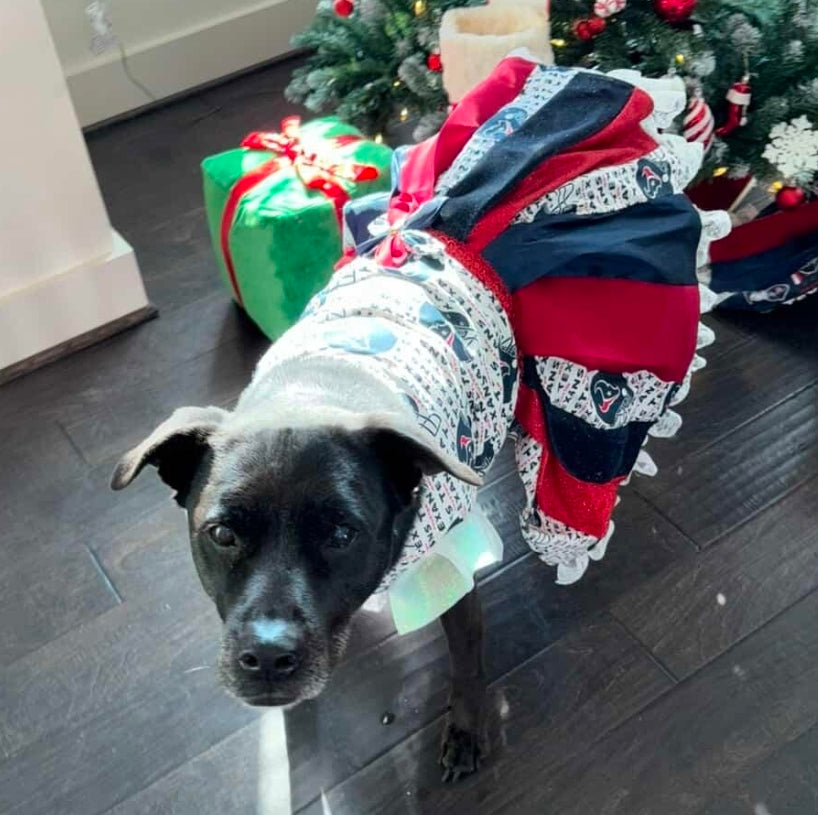 Houston Texans pet dress, Texans print pet dress, Houston Texans dog dress