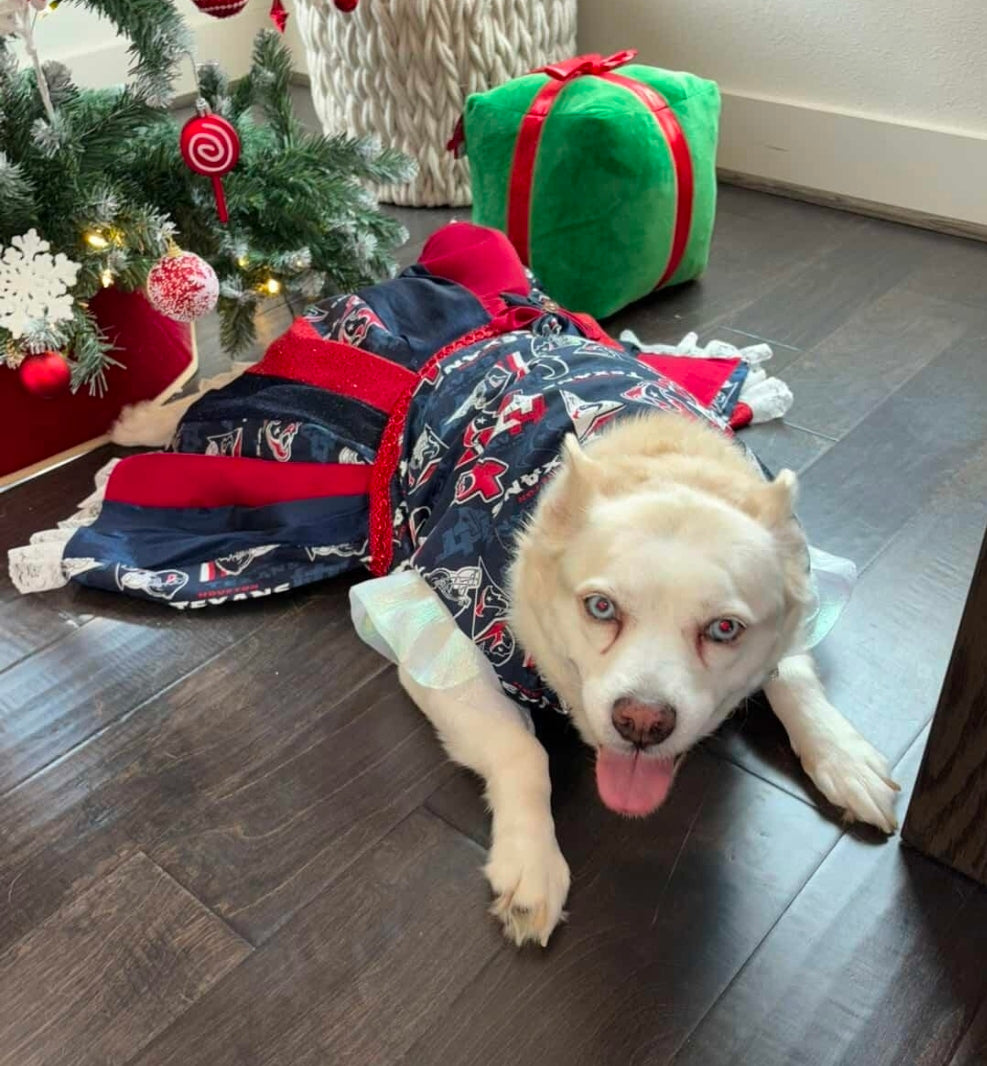 Houston Texans pet dress, Texans print pet dress, Houston Texans dog dress