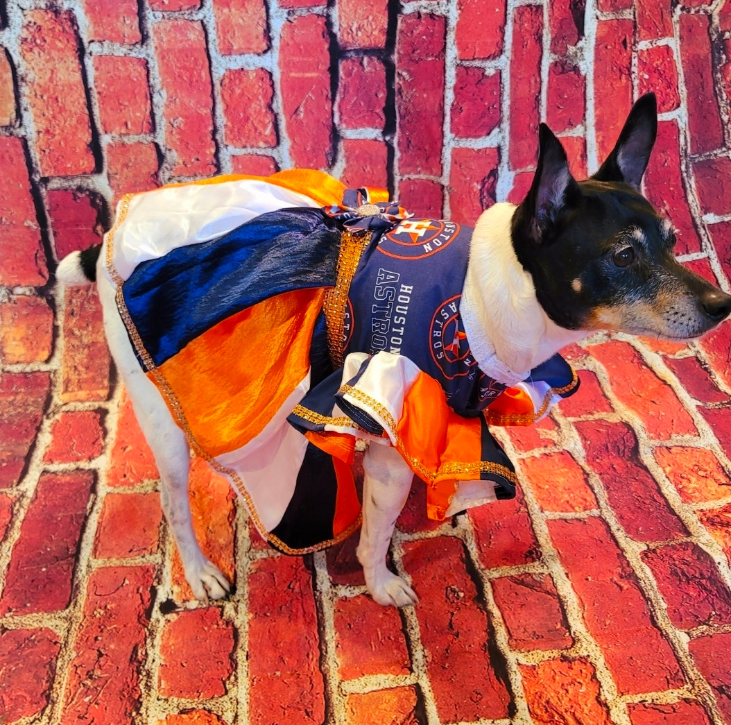 Houston Astros cheerleading pet dress, Astros Cheerleader pet dress