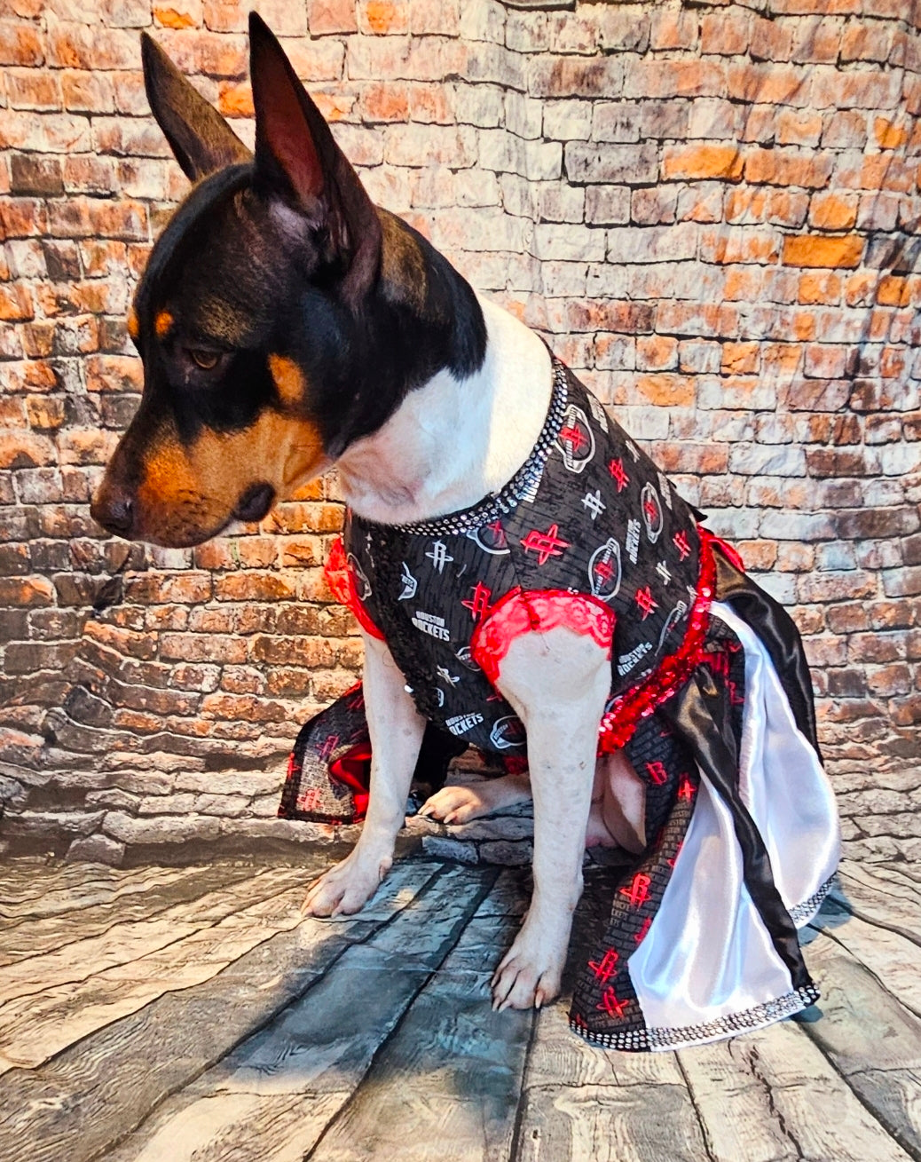 Houston Rockets pet dress, Houston rockets dog dress, Houston rockets cat dress, Rockets basketball pet dress, rockets pet clothes