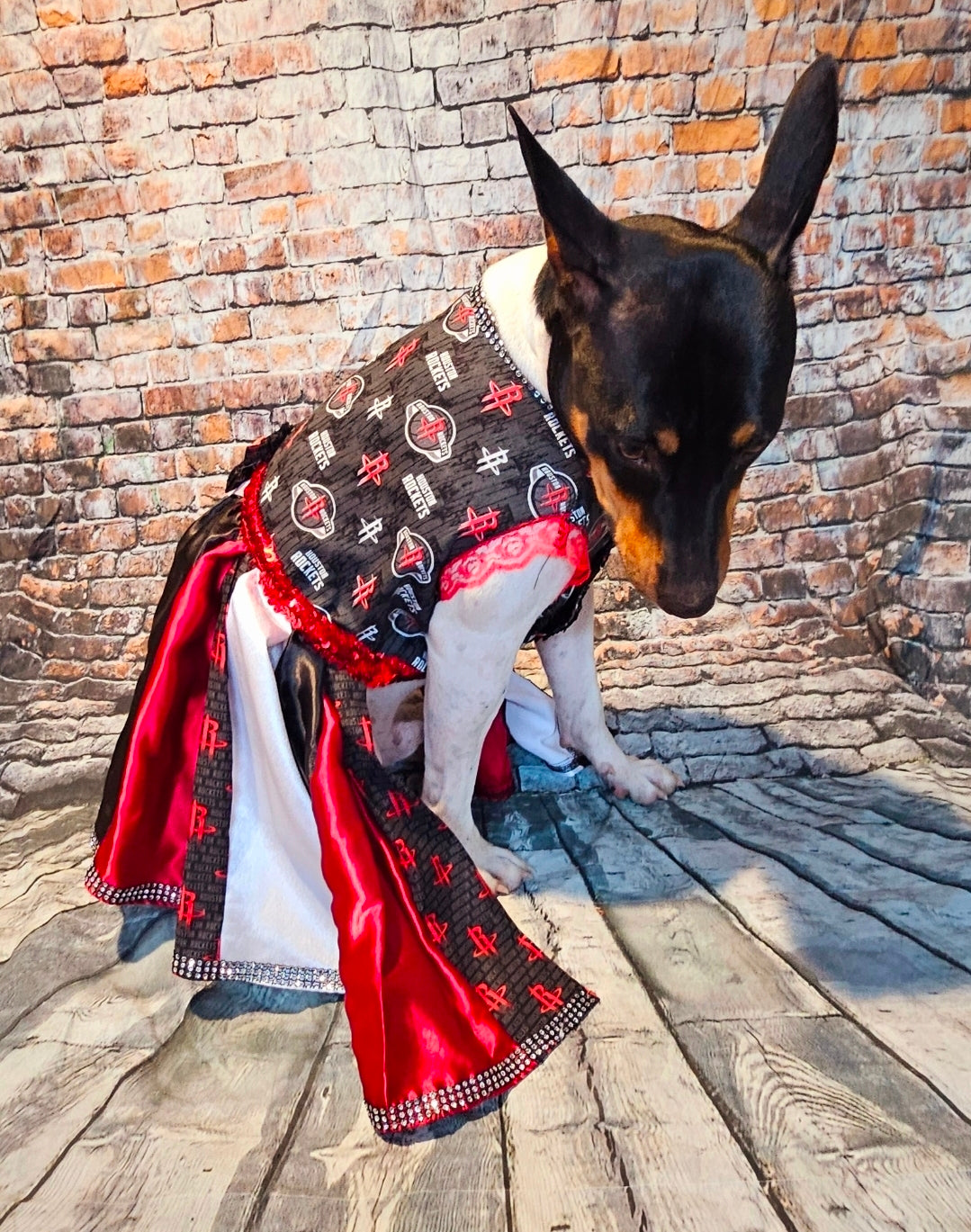Houston Rockets pet dress, Houston rockets dog dress, Houston rockets cat dress, Rockets basketball pet dress, rockets pet clothes