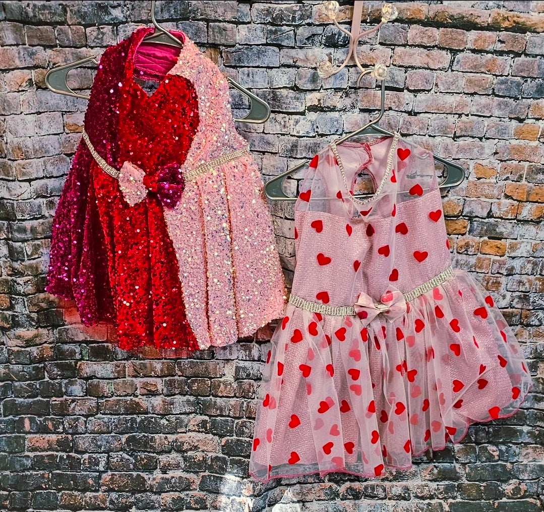 Valentine Tulle pet dress, heart tulle pet dress, valentine heart dog dress